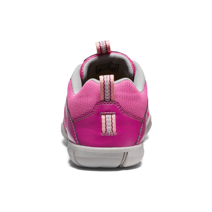 Festival Fucsia/Ibis Rosa