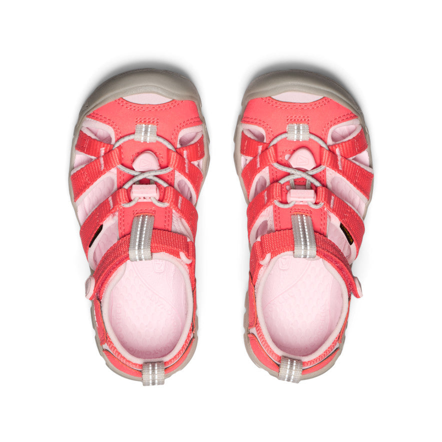 Dubarry/Risita Rosa