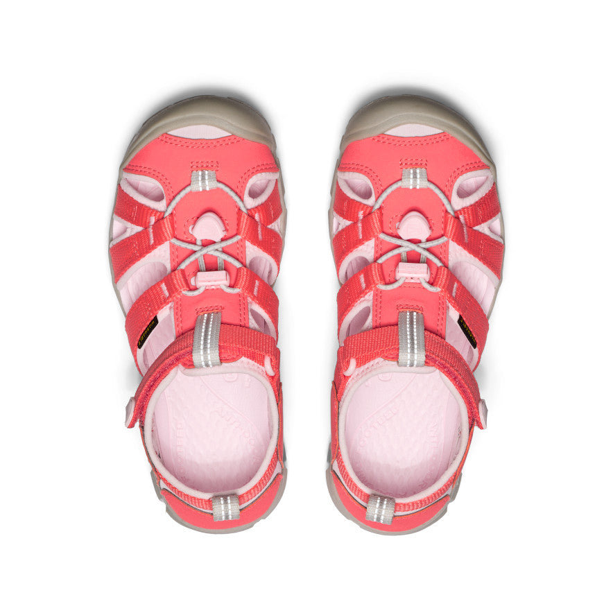 Dubarry/Risita Rosa