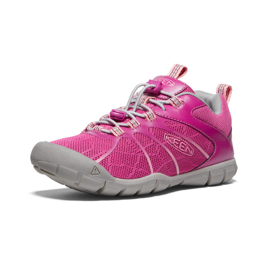 Festival Fucsia/Ibis Rosa