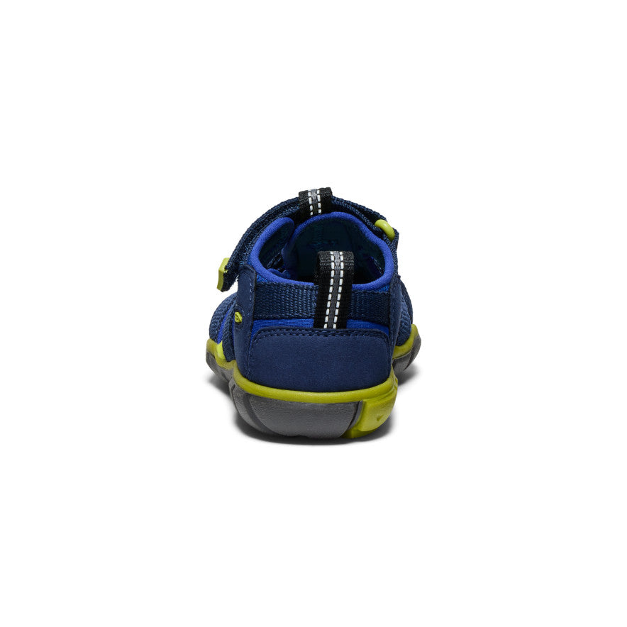 Academia Naval/Chartreuse