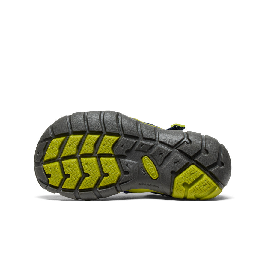 Academia Naval/Chartreuse