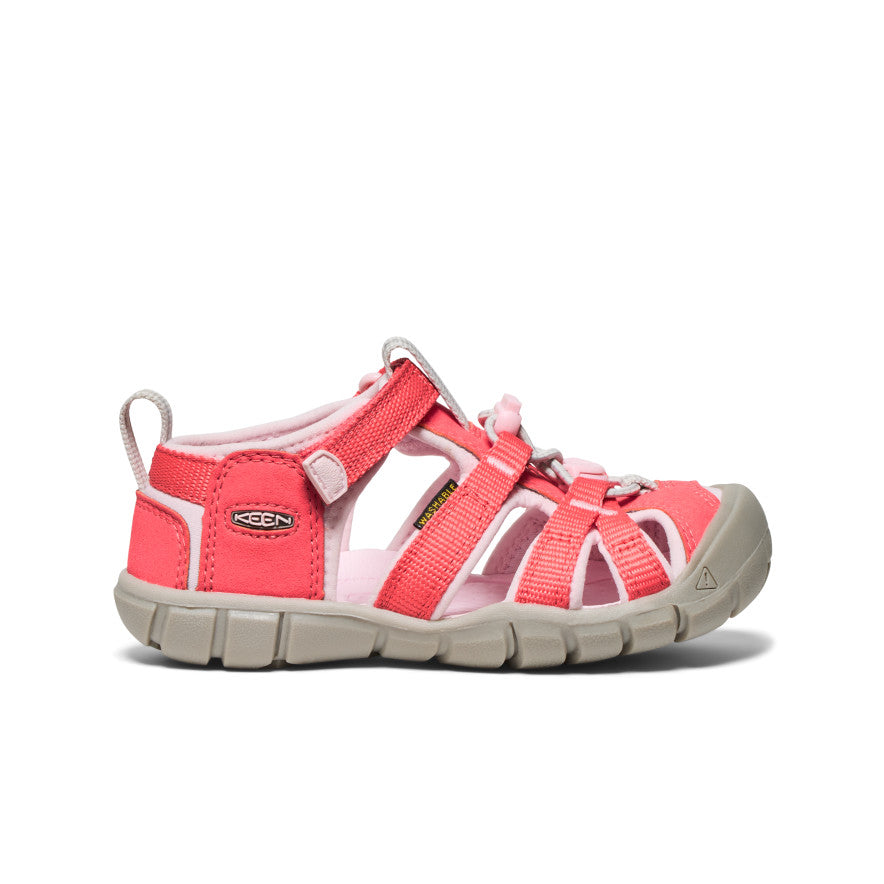 Dubarry/Risita Rosa