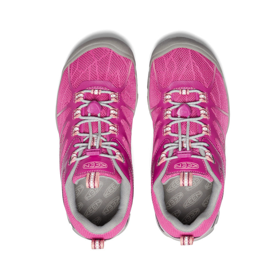 Festival Fucsia/Ibis Rosa