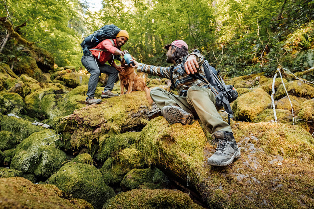 Tu pie es un trípode. Por qué el ajuste importa.