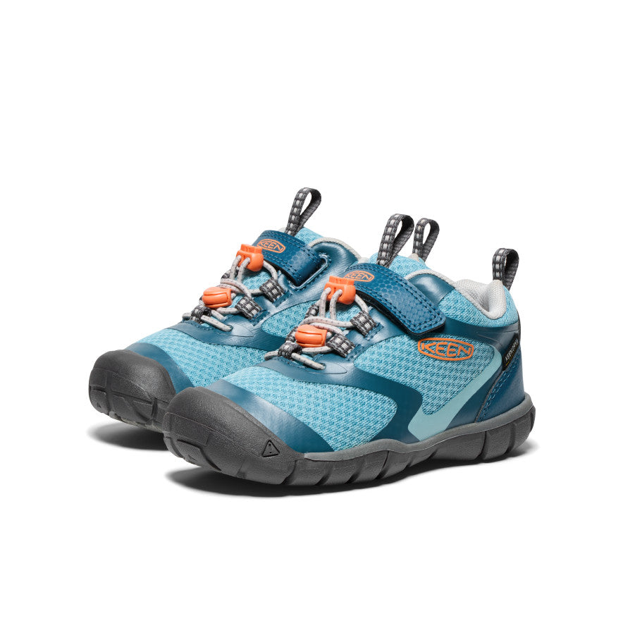 Azul Legión/Nectarina