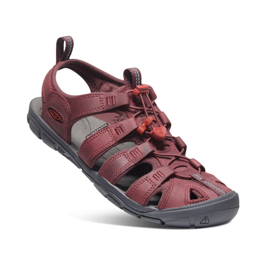 Vino/Dalia Roja