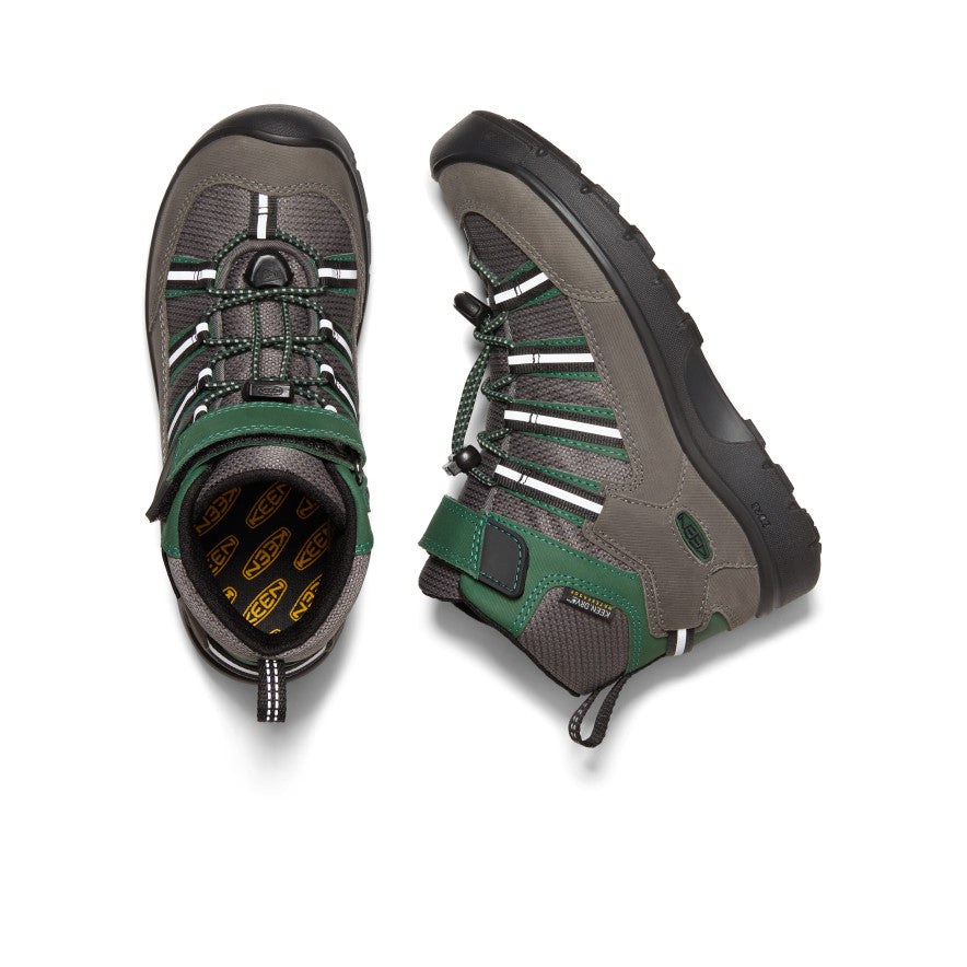 Imán/Pastos más verdes