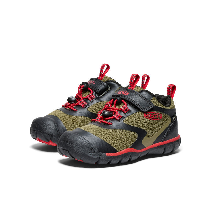 Martini Oliva/Alfombra Roja