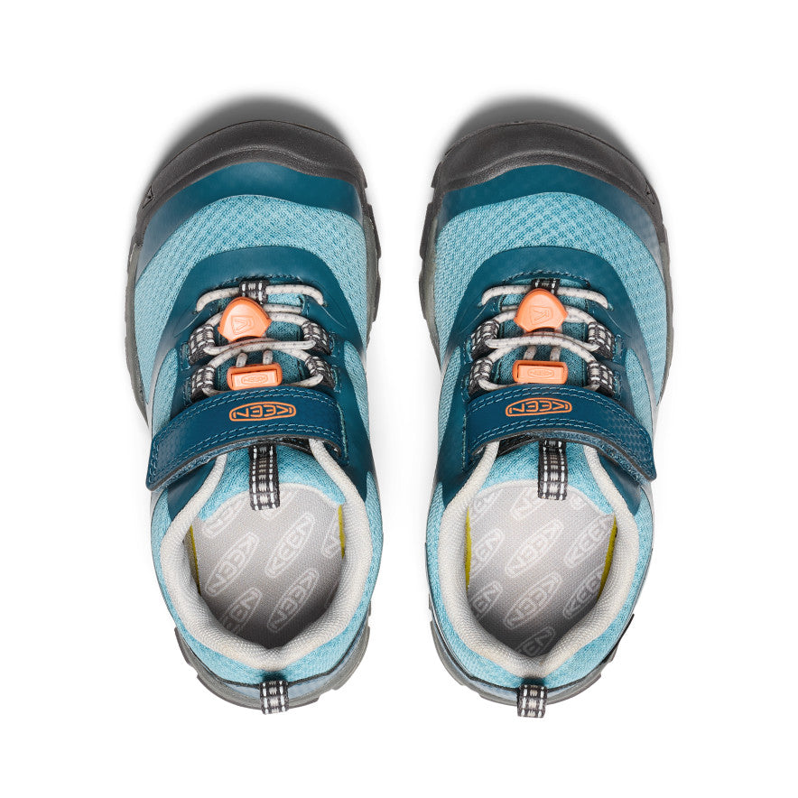 Azul Legión/Nectarina