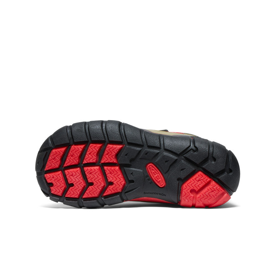 Martini Oliva/Alfombra Roja