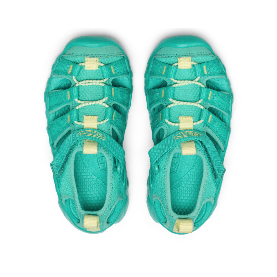 Bright Aqua/Wax Yellow