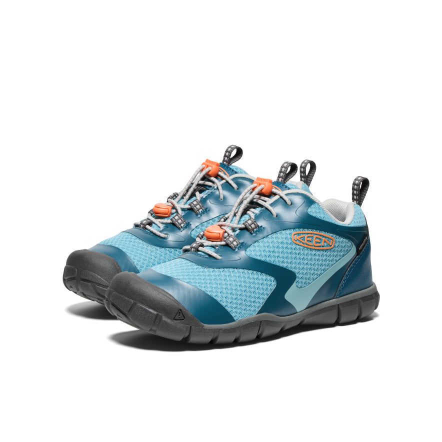 Azul Legión/Nectarina