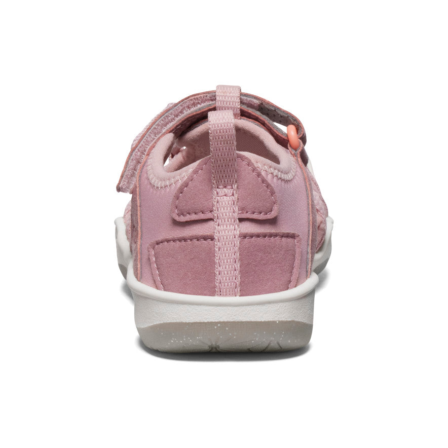 Nostalgia Rose/Papaya Punch