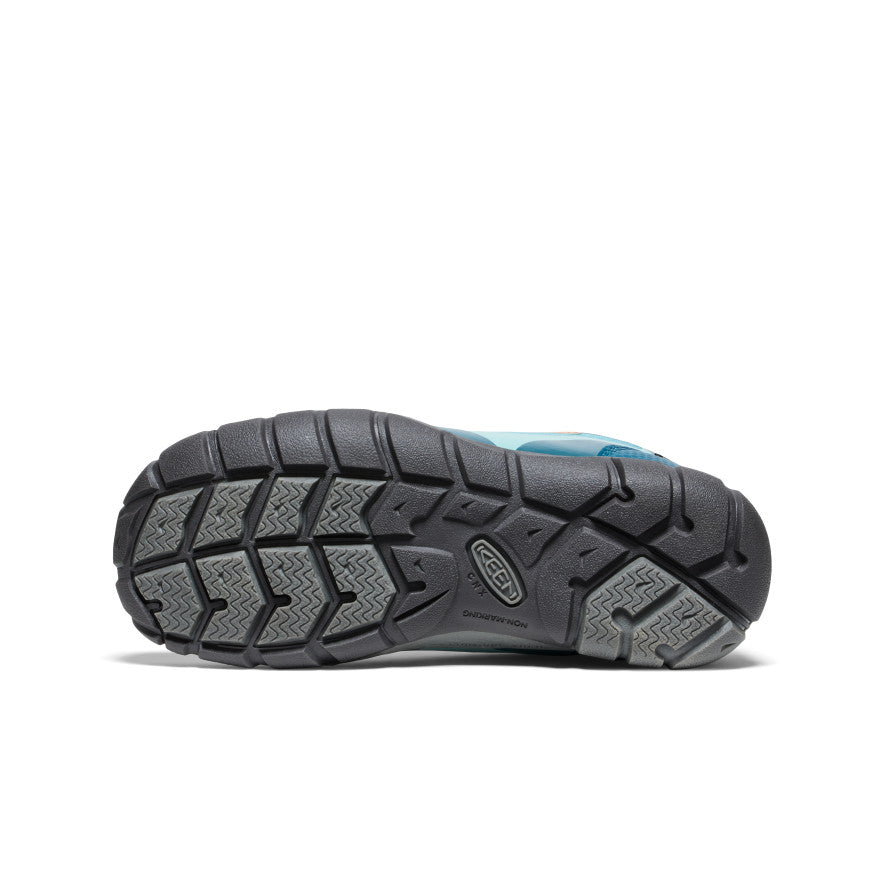 Azul Legión/Nectarina