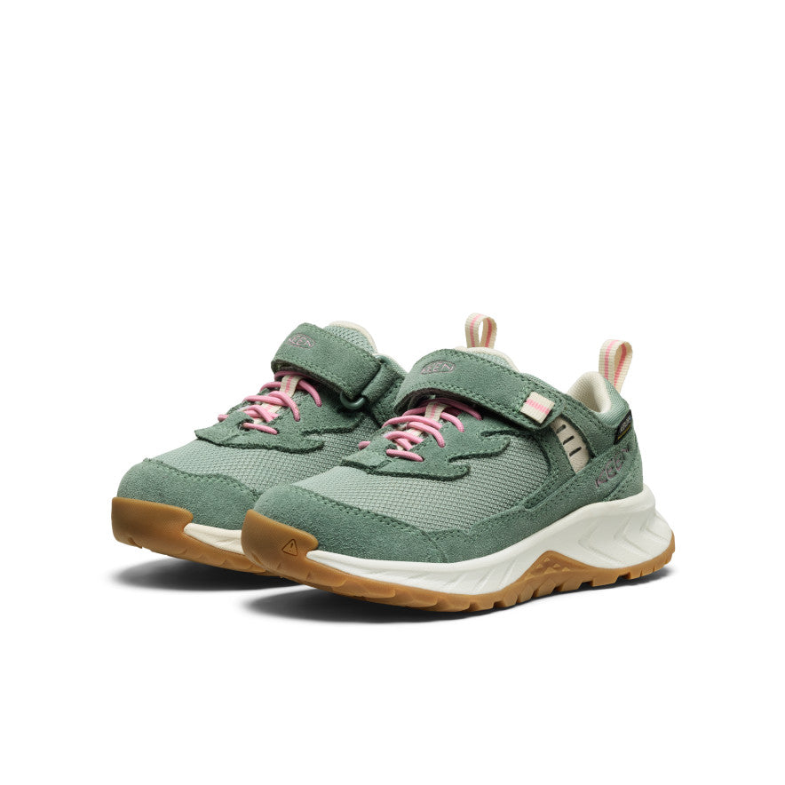 Lily Pad/Cashmere Rose