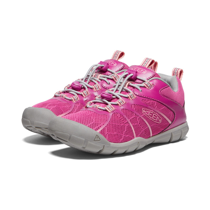 Festival Fucsia/Ibis Rosa