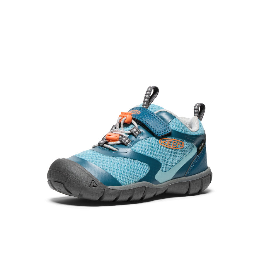 Azul Legión/Nectarina