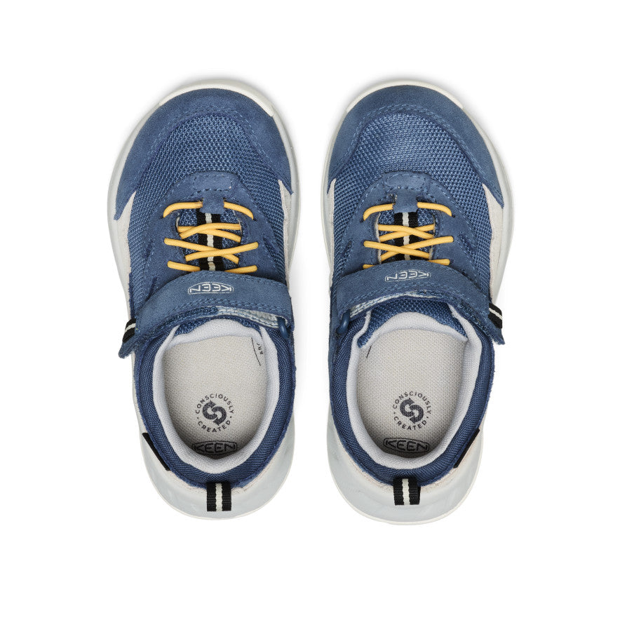 Vintage Indigo/Alloy