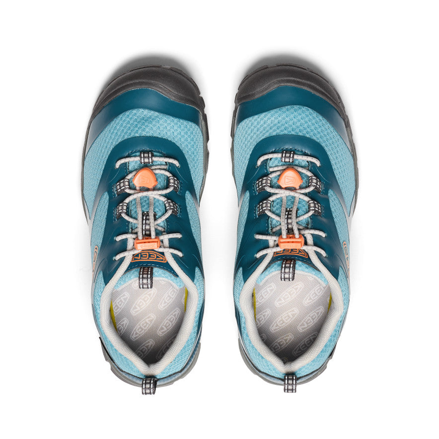 Azul Legión/Nectarina